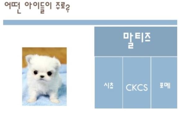 또치PC 이미지