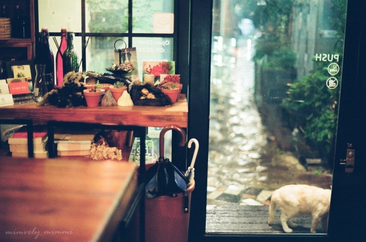 COFFEE MIMI(커피미미) 이미지
