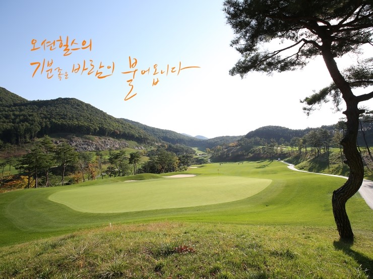오션골프클럽 이미지