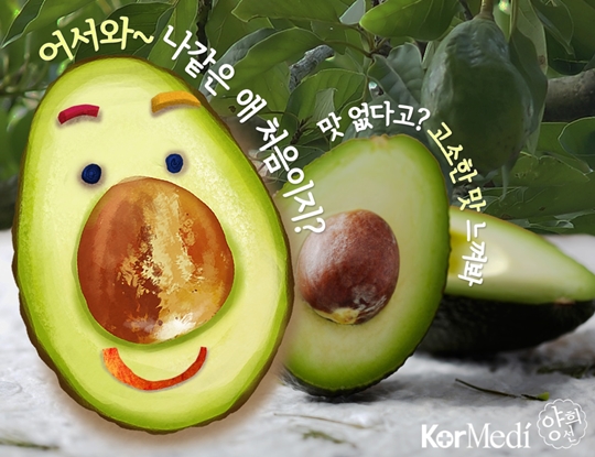 탄현식품 이미지