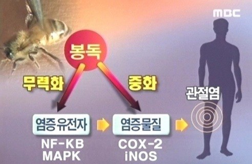 명장한의원 이미지
