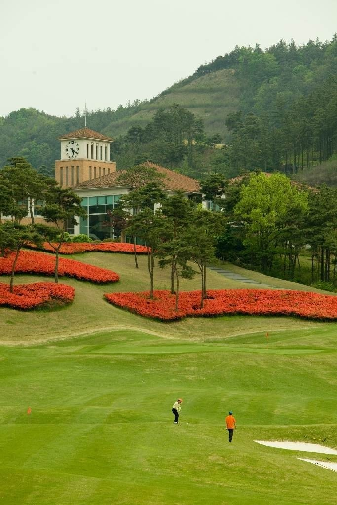 보성골프산업 이미지