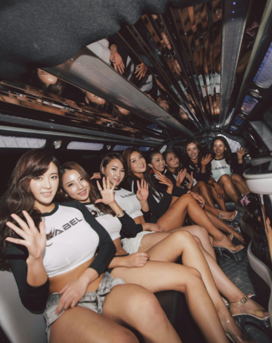 옵티멈피티 이미지