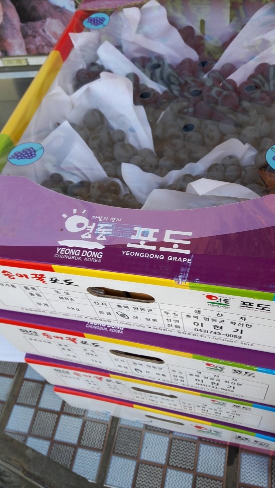 백세식품(주) 이미지