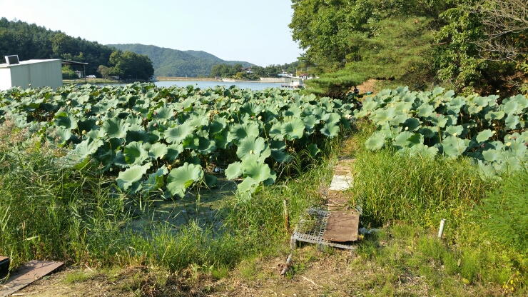 삼합낚시터 이미지
