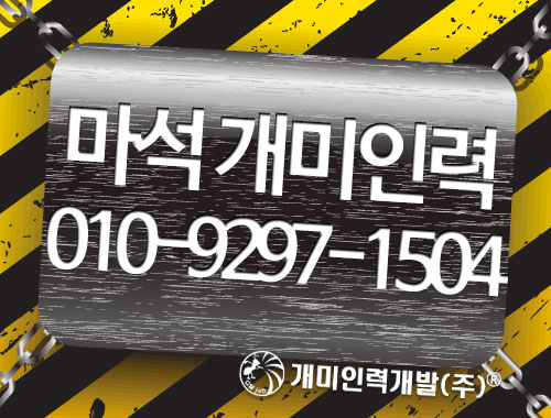 마석개미인력 이미지