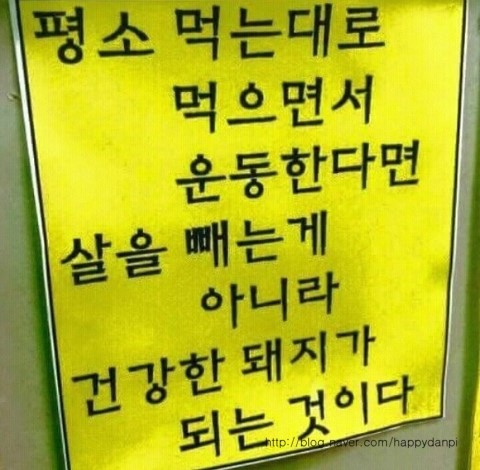 단비네 이미지