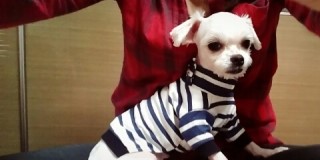 혜찬 이미지
