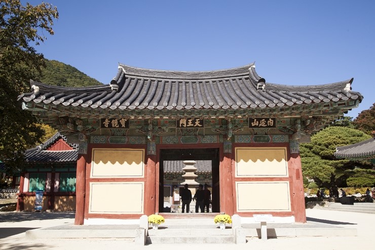 보경AD 이미지