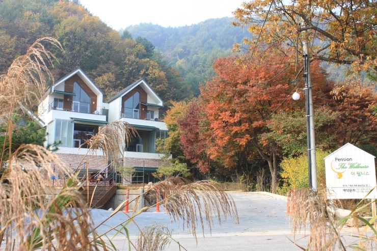 더웰니스펜션 이미지