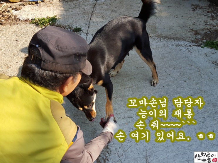 애원민박 이미지