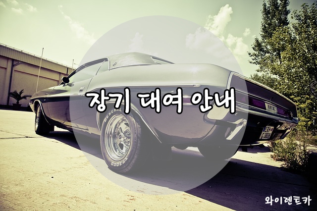 와이렌트카 이미지