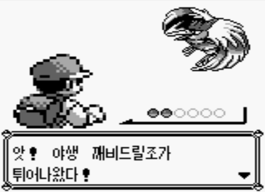 이지브레드 이미지
