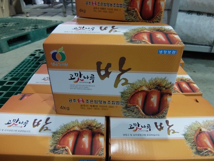 우리무역 이미지