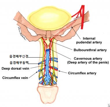 준비뇨기과의원 이미지
