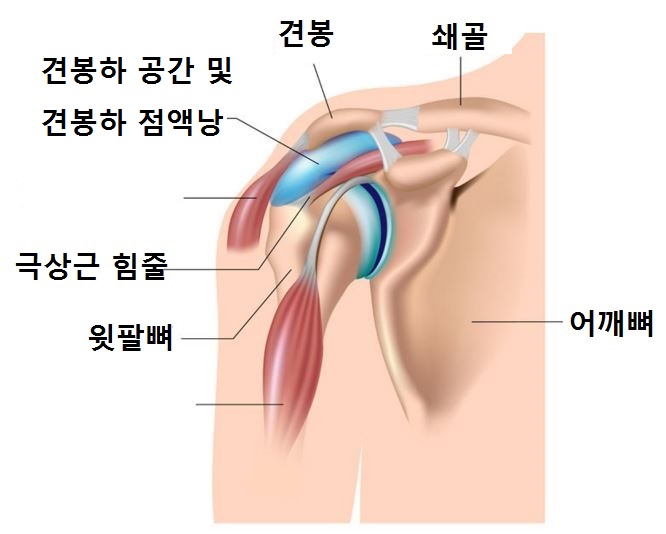 삼성바른신경외과 이미지