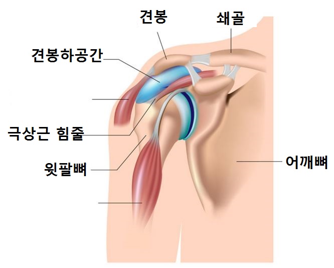 삼성바른신경외과 이미지