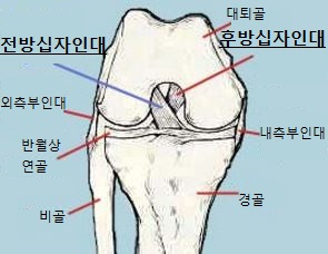 삼성바른신경외과 이미지