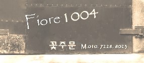 피오레천사 이미지