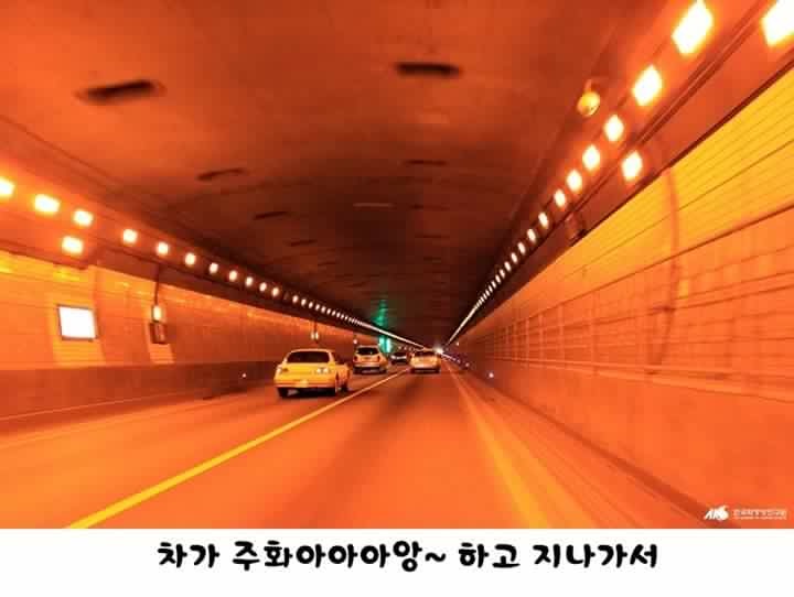 해물풍경 이미지