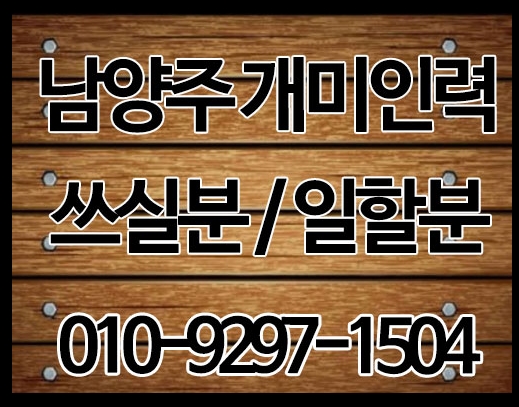 마석개미인력 이미지