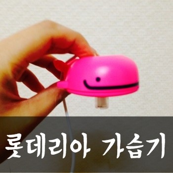 미니고래집 이미지