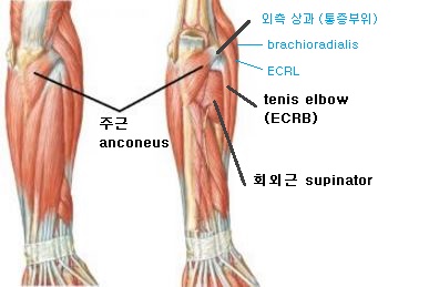 삼성바른신경외과 이미지