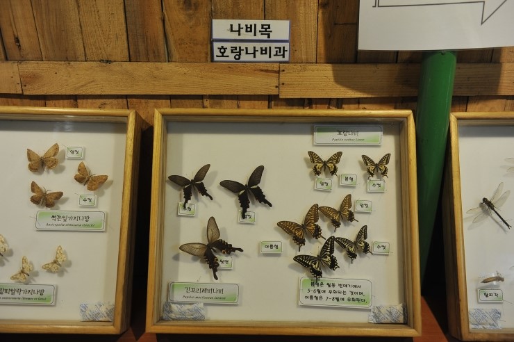 둥이식품 이미지