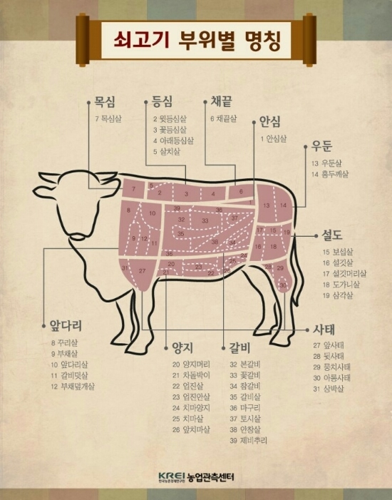 둥이요리 이미지