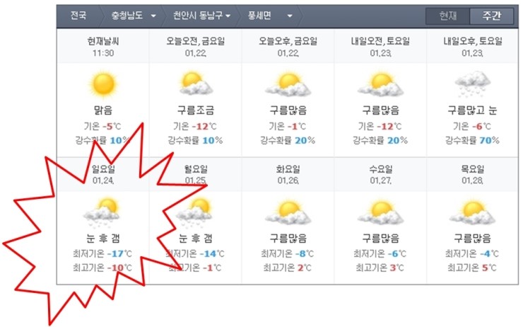 제일육묘장 이미지