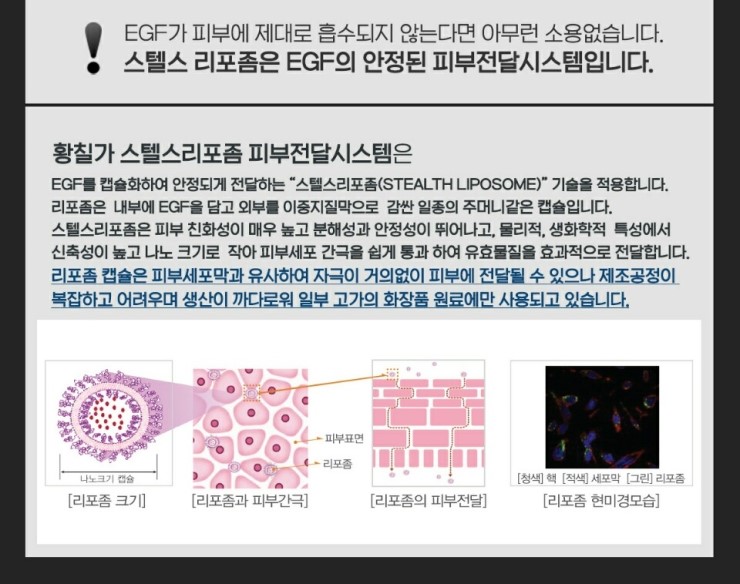 안티솔라 이미지