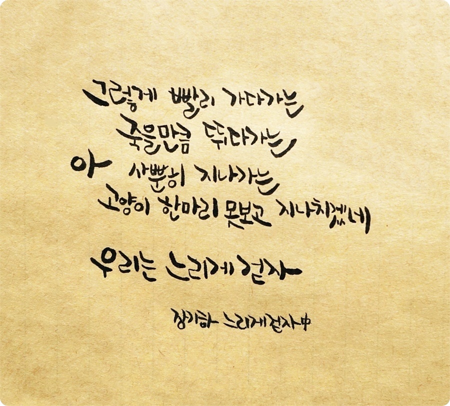 캘리그라피독학 BEST강의와 설은향 작가님!