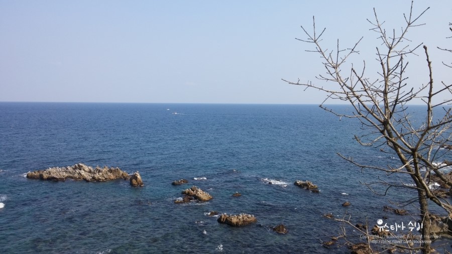 공현진항구횟집 이미지