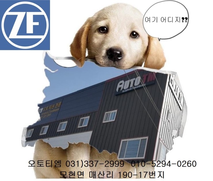 티엠정보통신 이미지