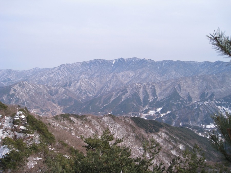 대성실상사 이미지