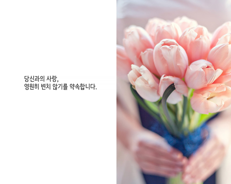 윈플레르 이미지