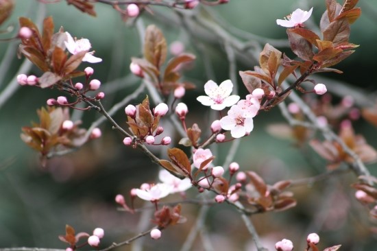 바람마루 이미지