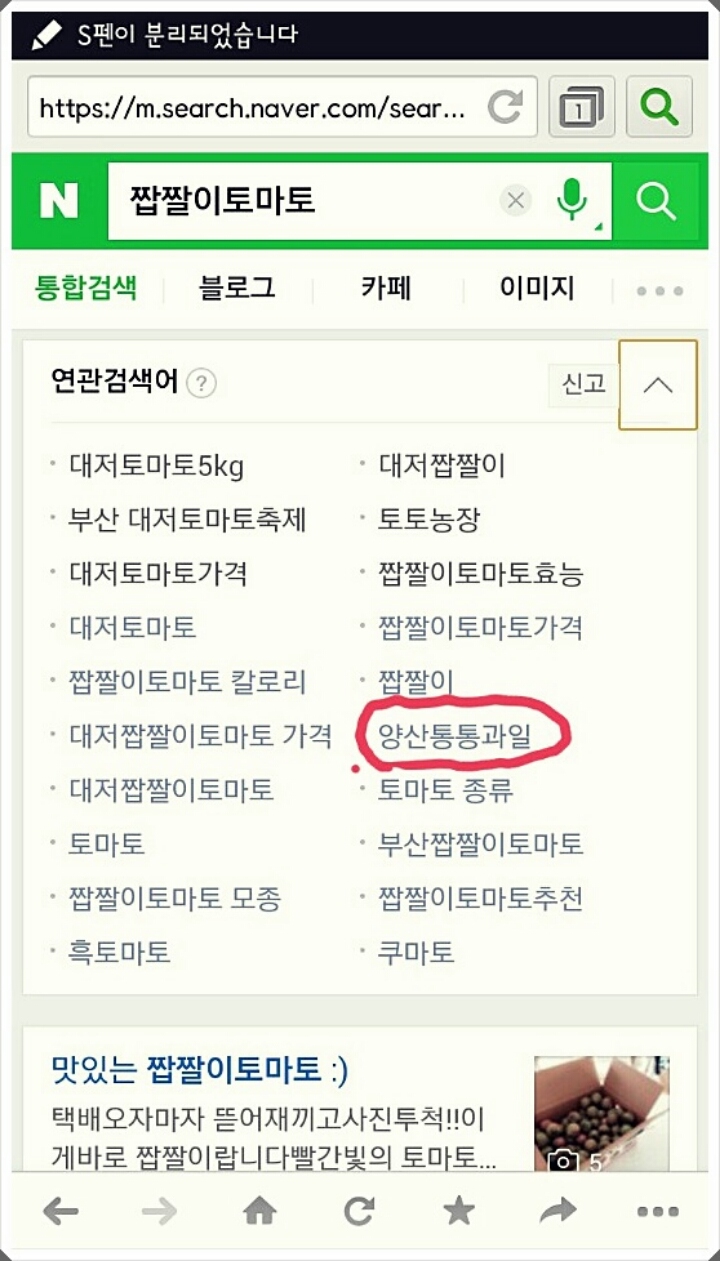 통통과일 이미지