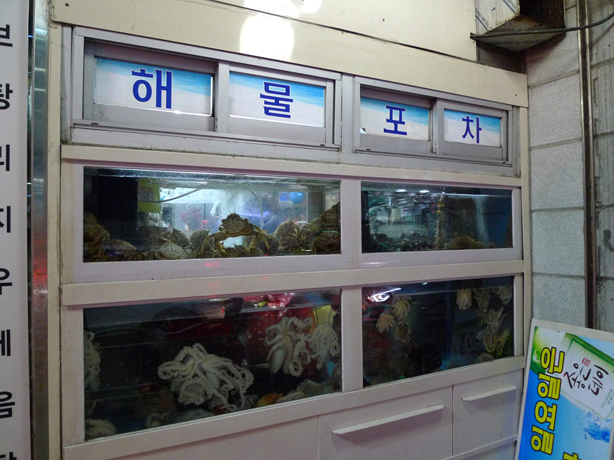 아쿠아프로헤어 이미지
