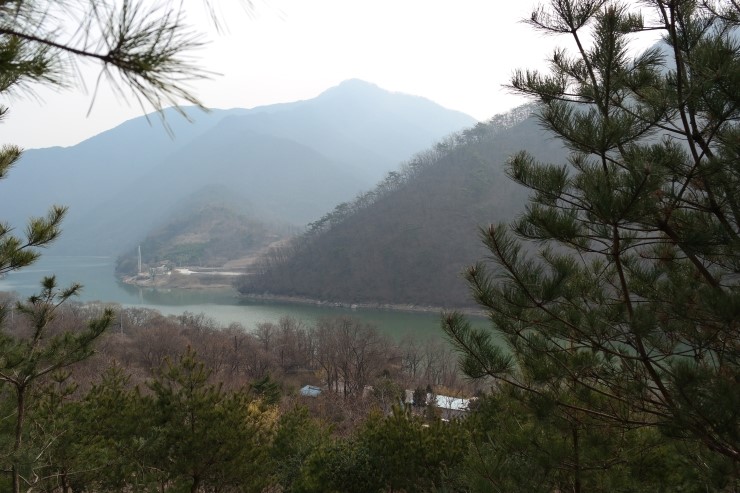 성재농원 이미지