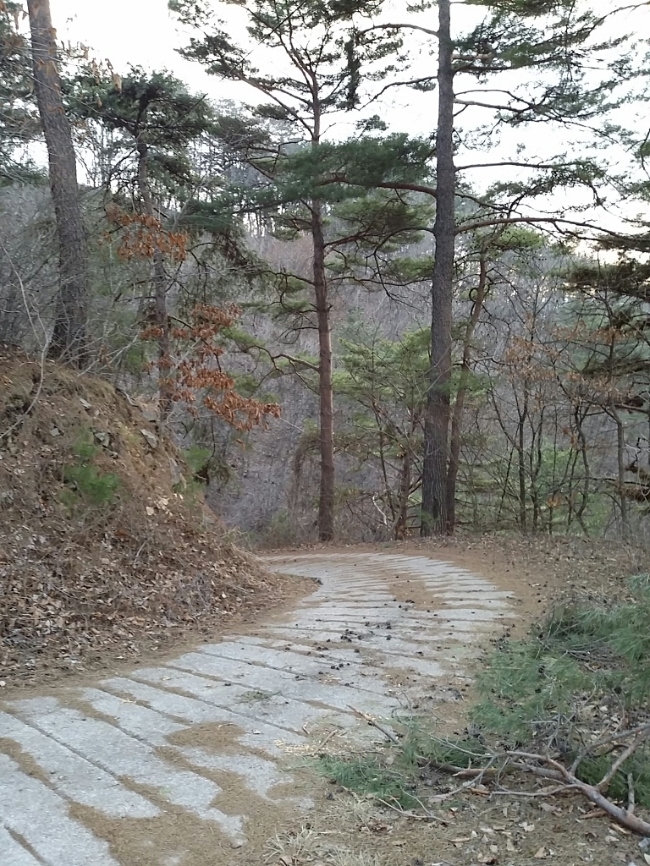 (주)한국뉴팜바이오 이미지