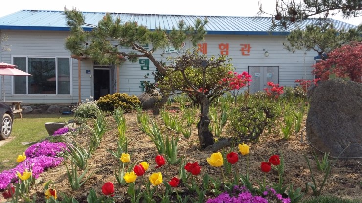 알로에사랑 영농법인 이미지