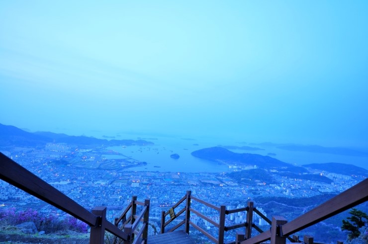 단디텍스 이미지