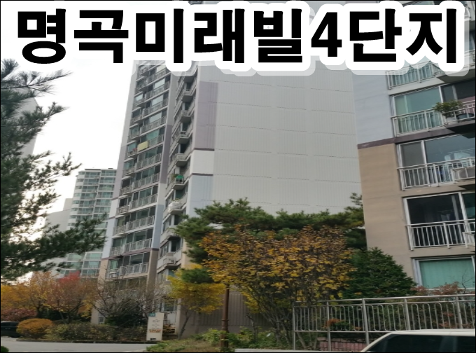 네이버블로그