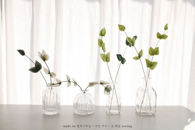 초록잎새 이미지
