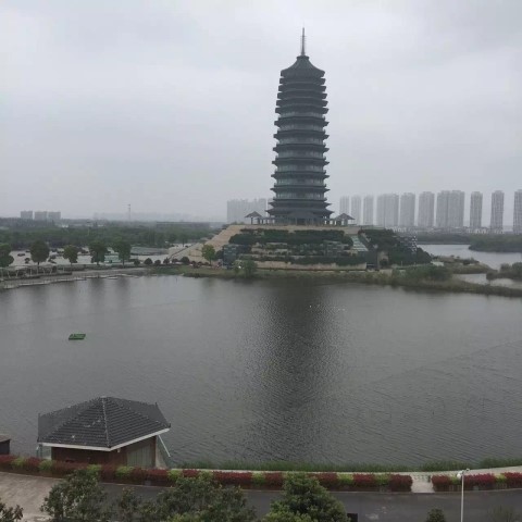 국제사 이미지