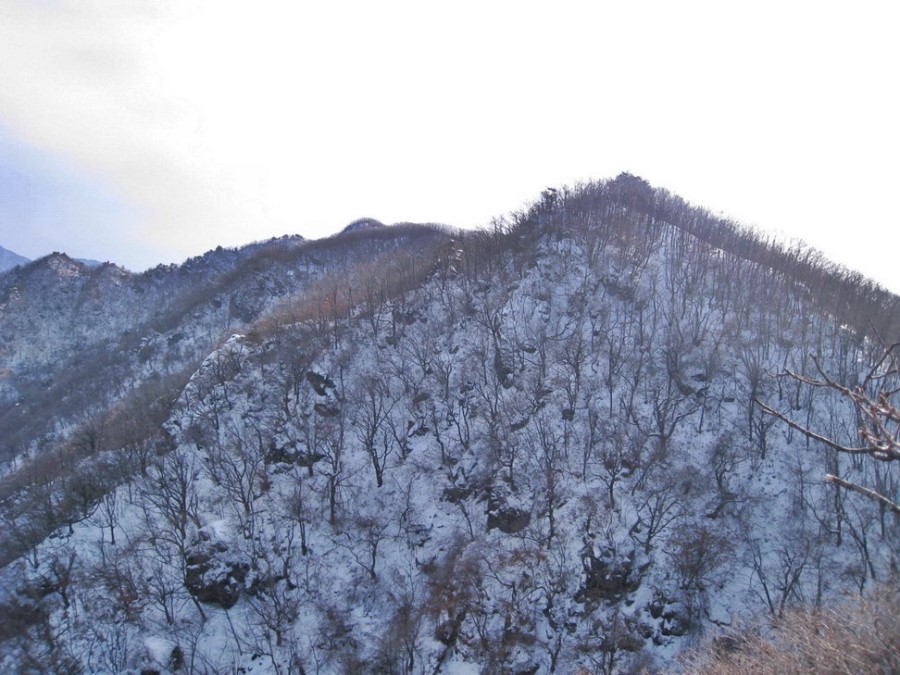 대성실상사 이미지