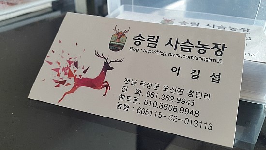 곡성사슴 이미지
