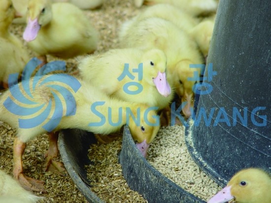 이시스템 이미지