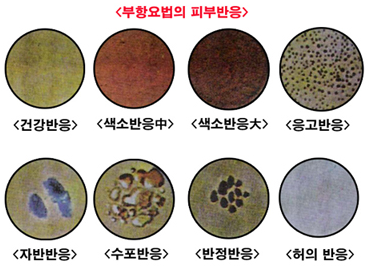 보장플러스 이미지